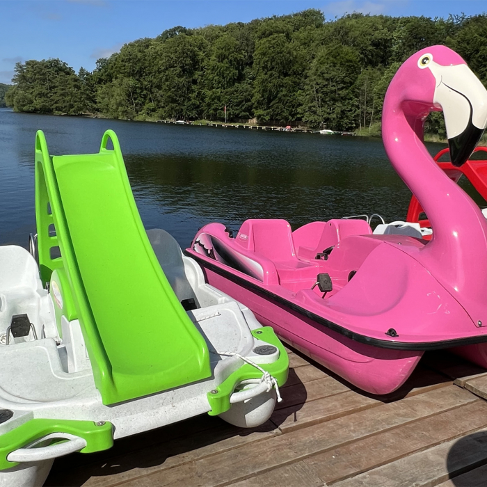 Flamingo