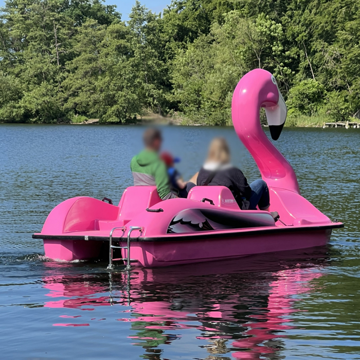 Flamingo-See